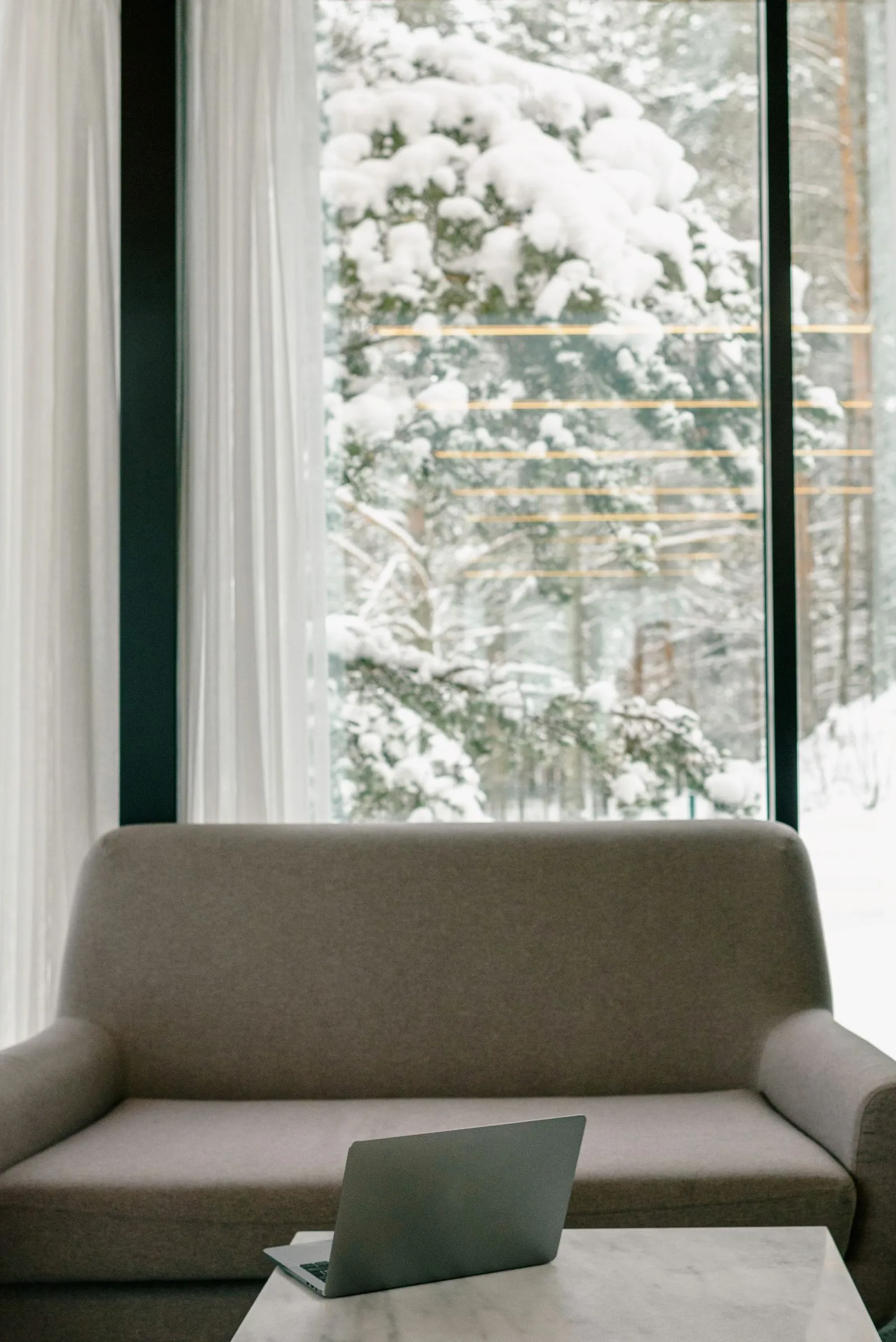 A laptop on a low table by a sofa, snowy pine trees through a tall window
